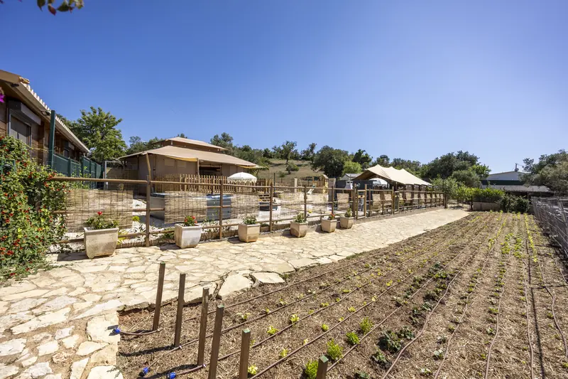 De moestuin langs de lodges